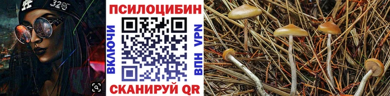 Галлюциногенные грибы Cubensis shop состав Кремёнки omg онион